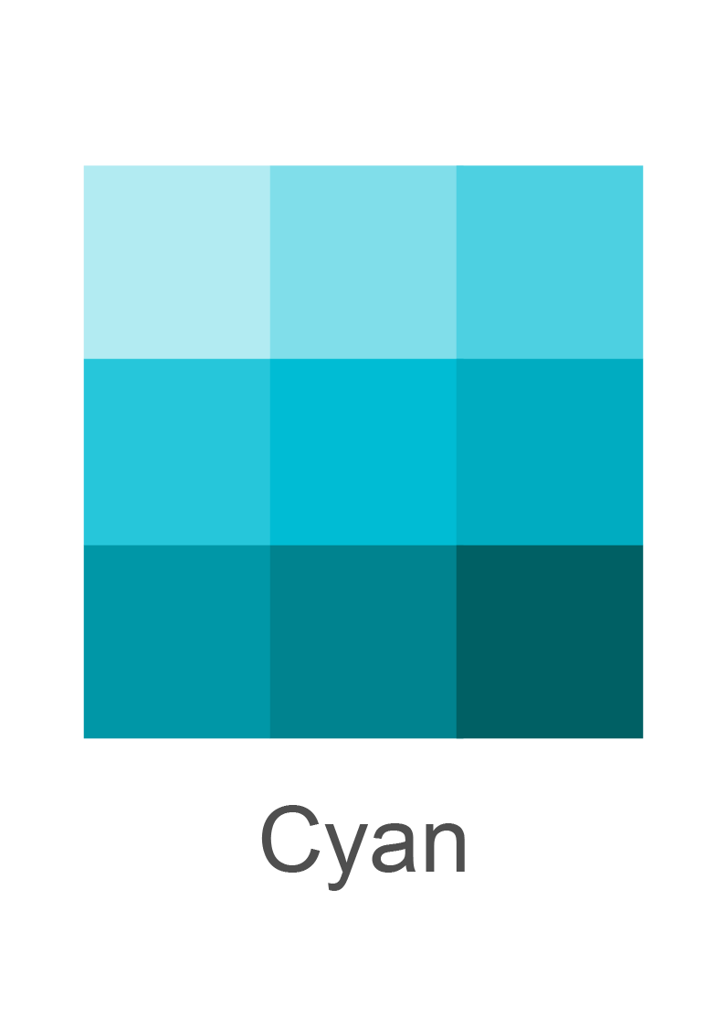 Color Palette